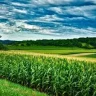 FarmerAdam