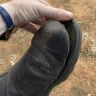 dust-free_mojo
